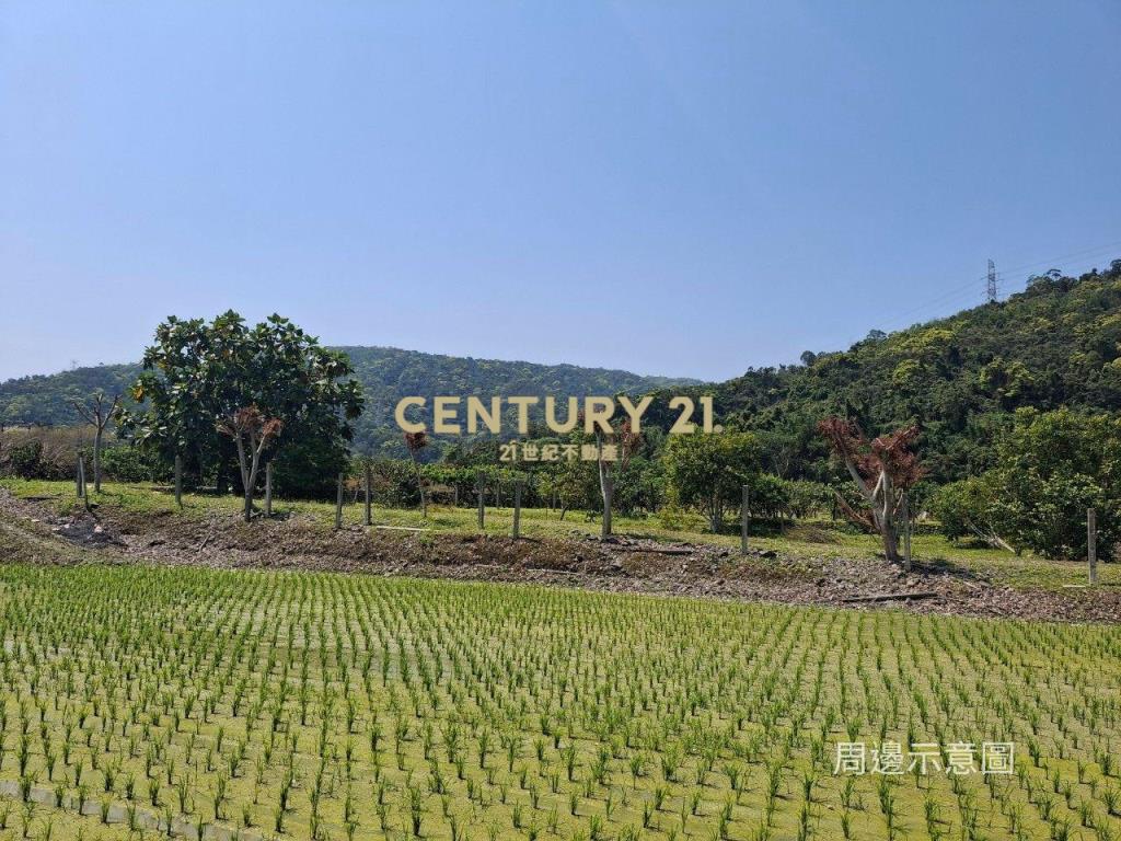 CC549礁溪自然生態山坡地