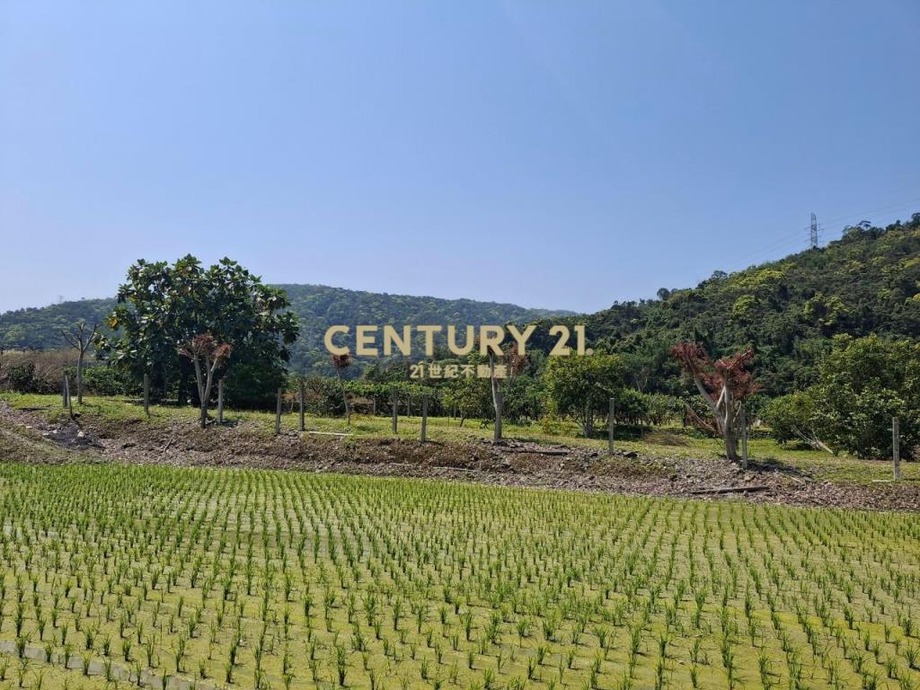 CC549礁溪自然生態山坡地