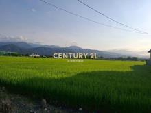 CC551冬山伯朗大道農地