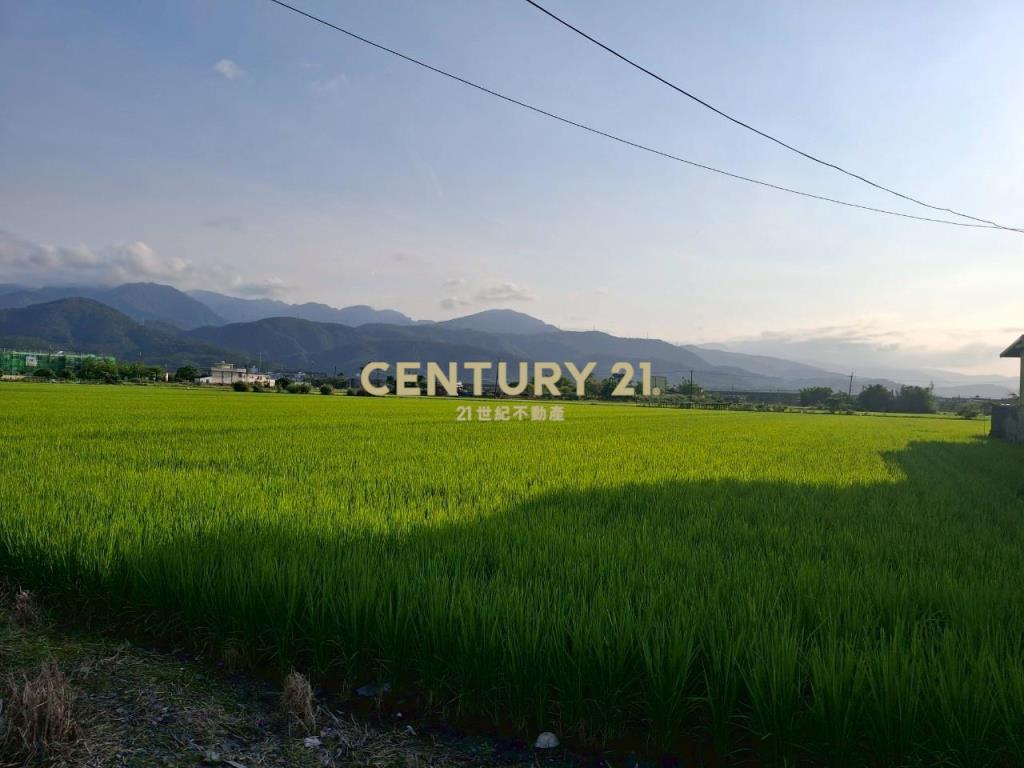 CC551冬山伯朗大道農地