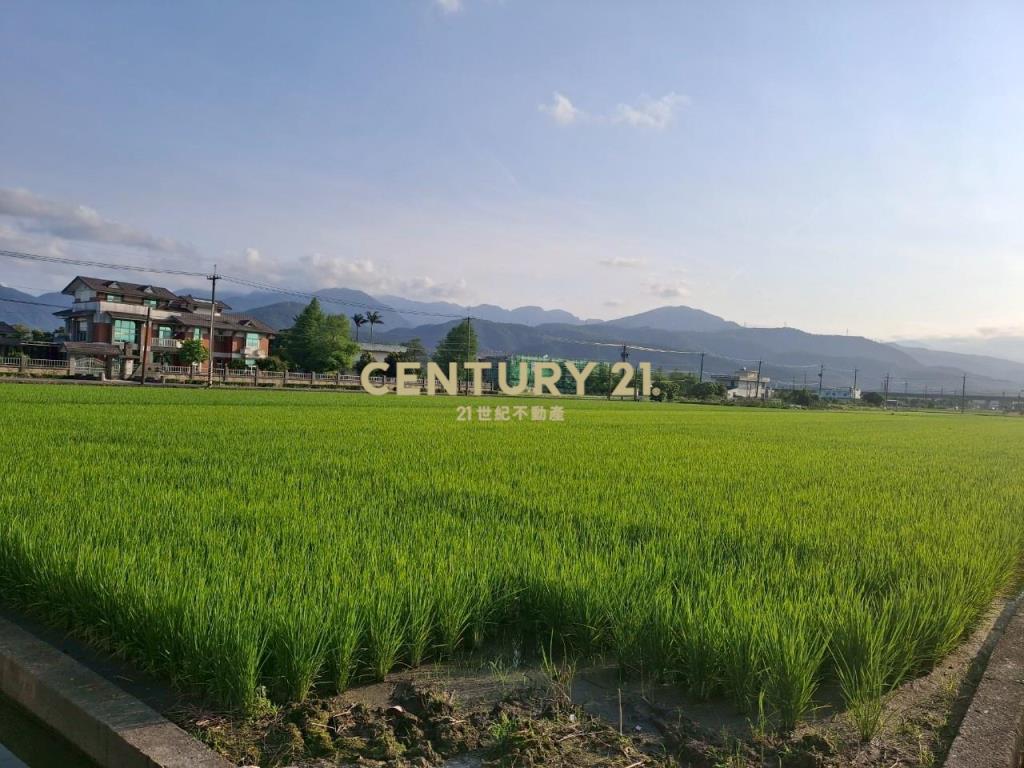 CC551冬山伯朗大道農地