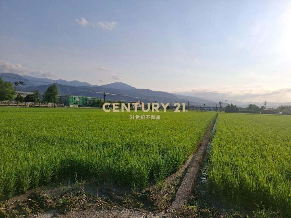 CC551冬山伯朗大道農地