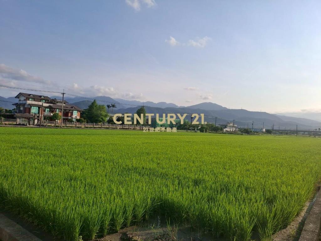 CC551冬山伯朗大道農地