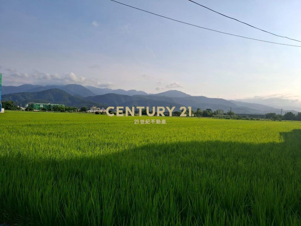 CC551冬山伯朗大道農地