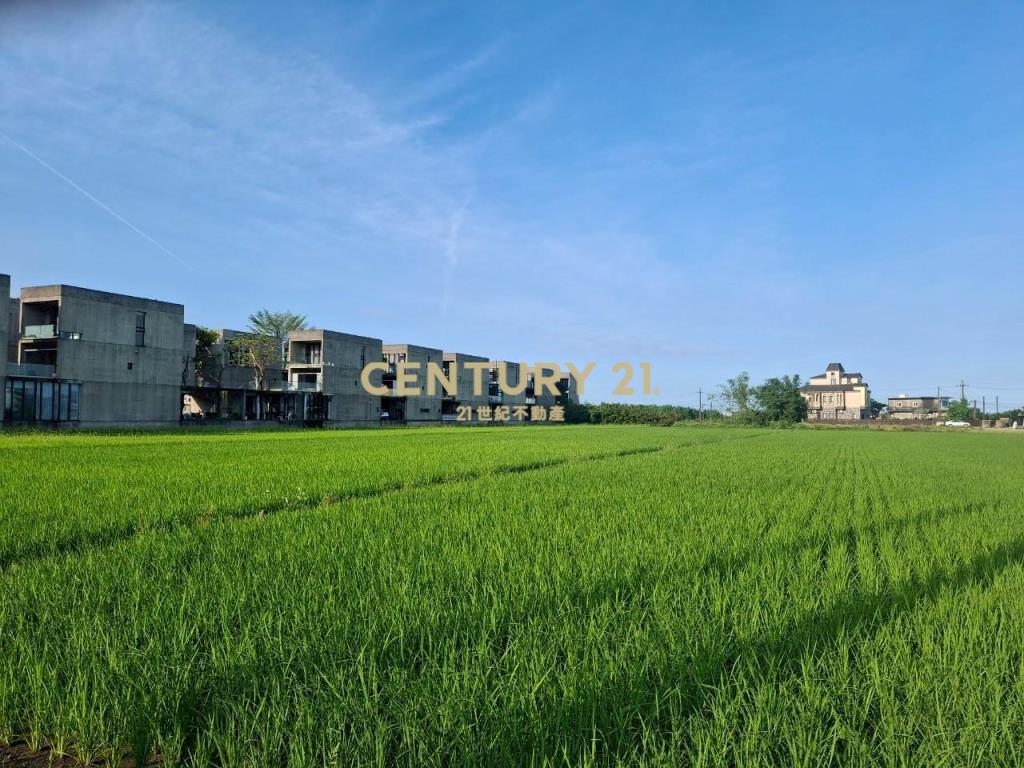 CC551冬山伯朗大道農地