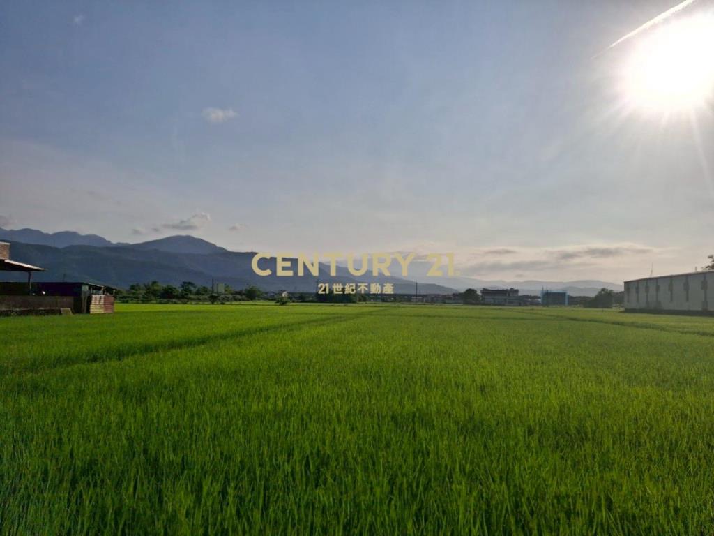 CC551冬山伯朗大道農地