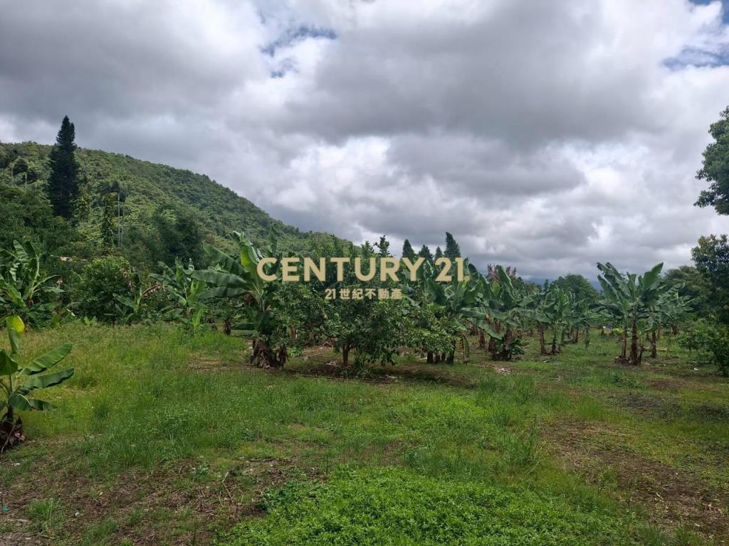 CC555員山宜5線持份投資小農地