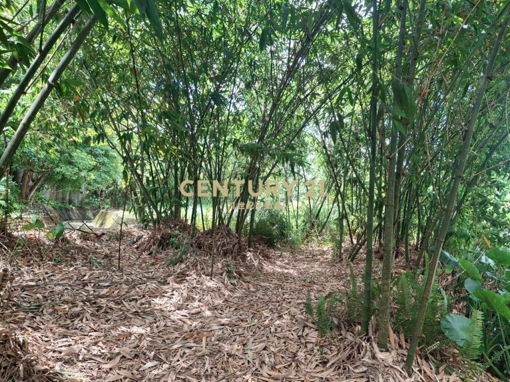 CC555員山宜5線持份投資小農地