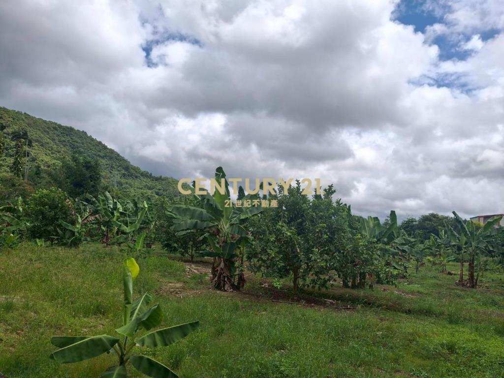 CC555員山宜5線持份投資小農地