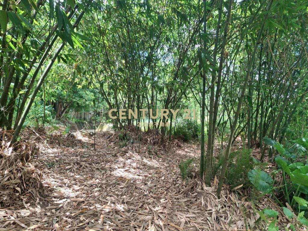 CC555員山宜5線持份投資小農地