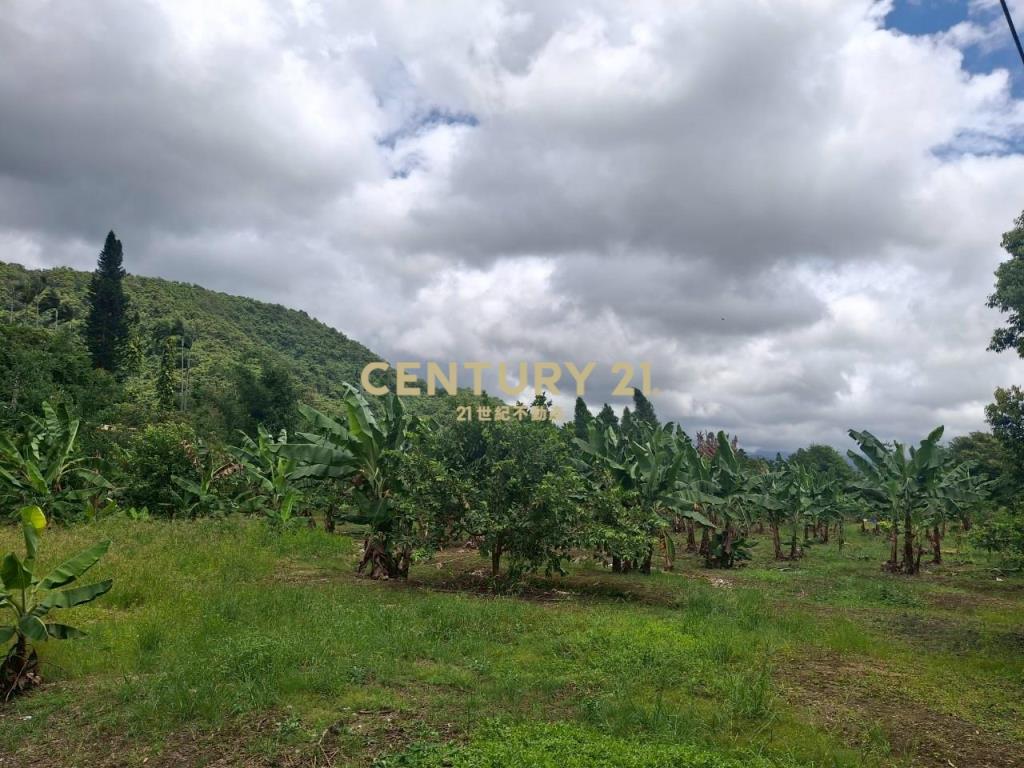 CC555員山宜5線持份投資小農地