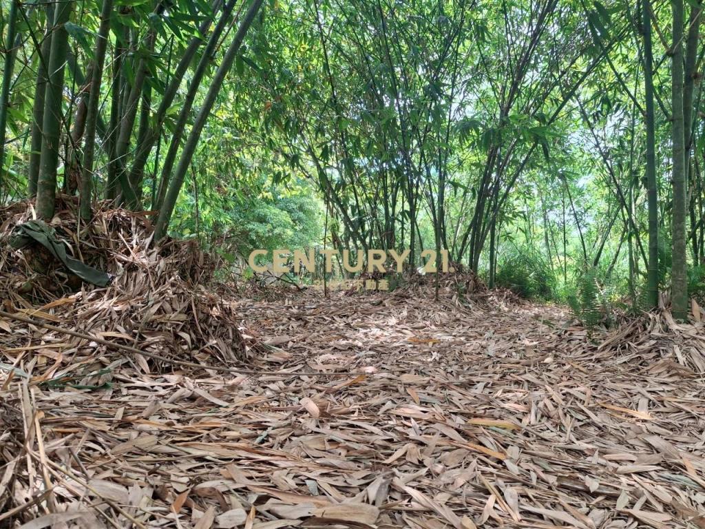 CC555員山宜5線持份投資小農地