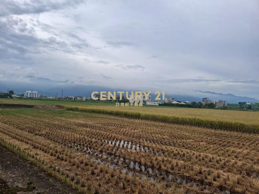 CC556壯圍近交流道完美農地