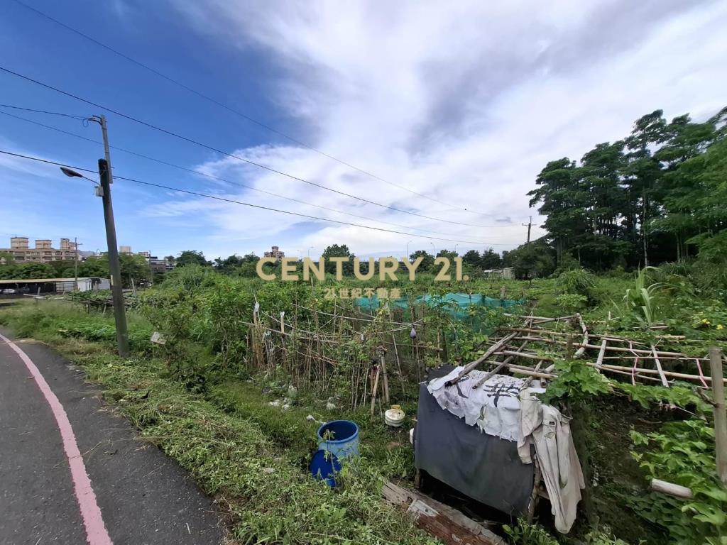 CC558羅東都計內保護區農地