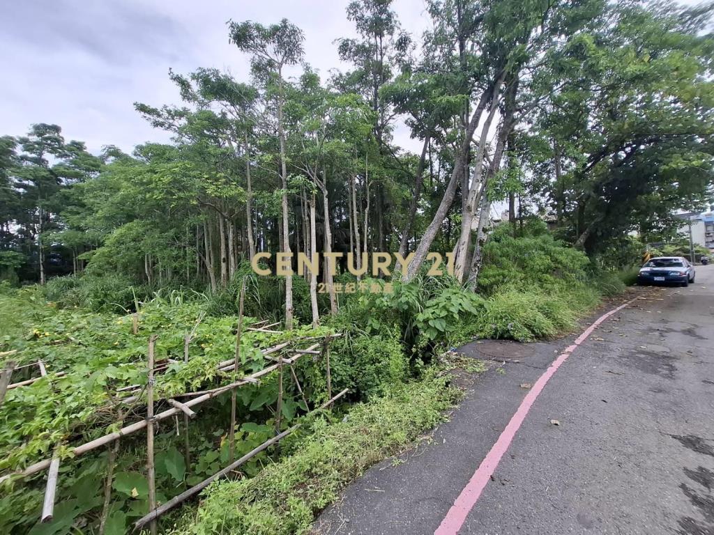 CC558羅東都計內保護區農地