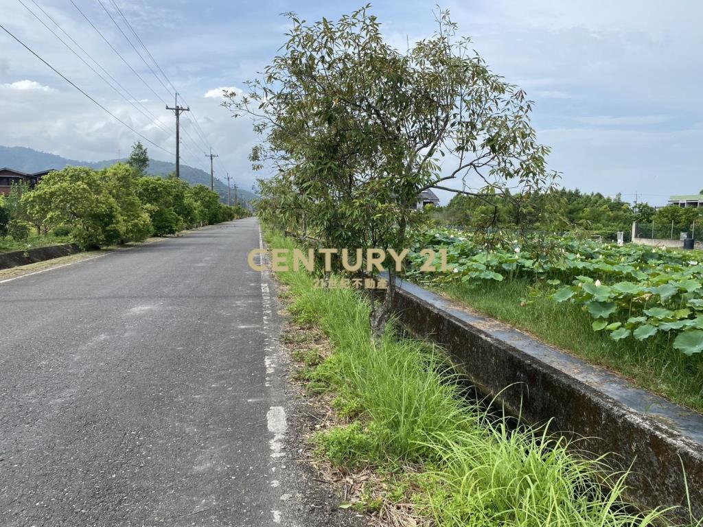 CC559員山大面寬足坪美農地