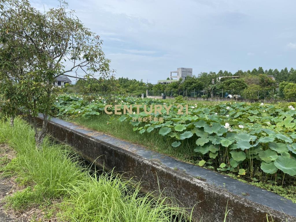 CC559員山大面寬足坪美農地