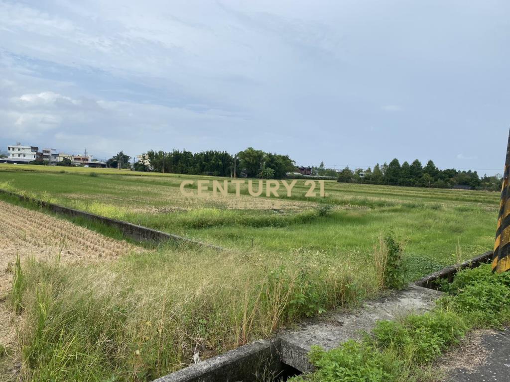 CC559員山大面寬足坪美農地