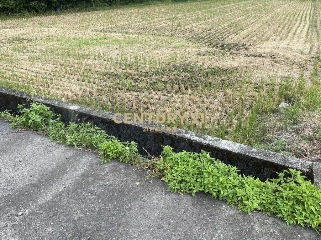 CC559員山大面寬足坪美農地