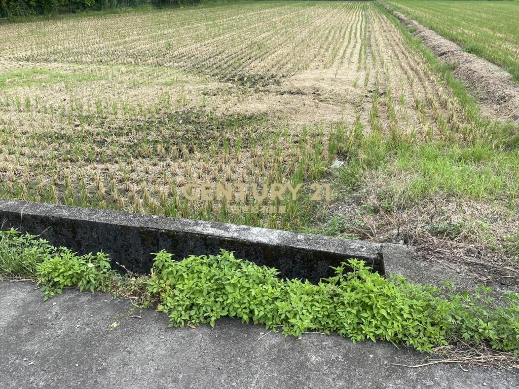 CC559員山大面寬足坪美農地