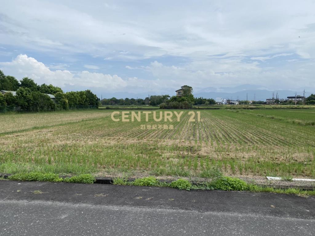 CC559員山大面寬足坪美農地