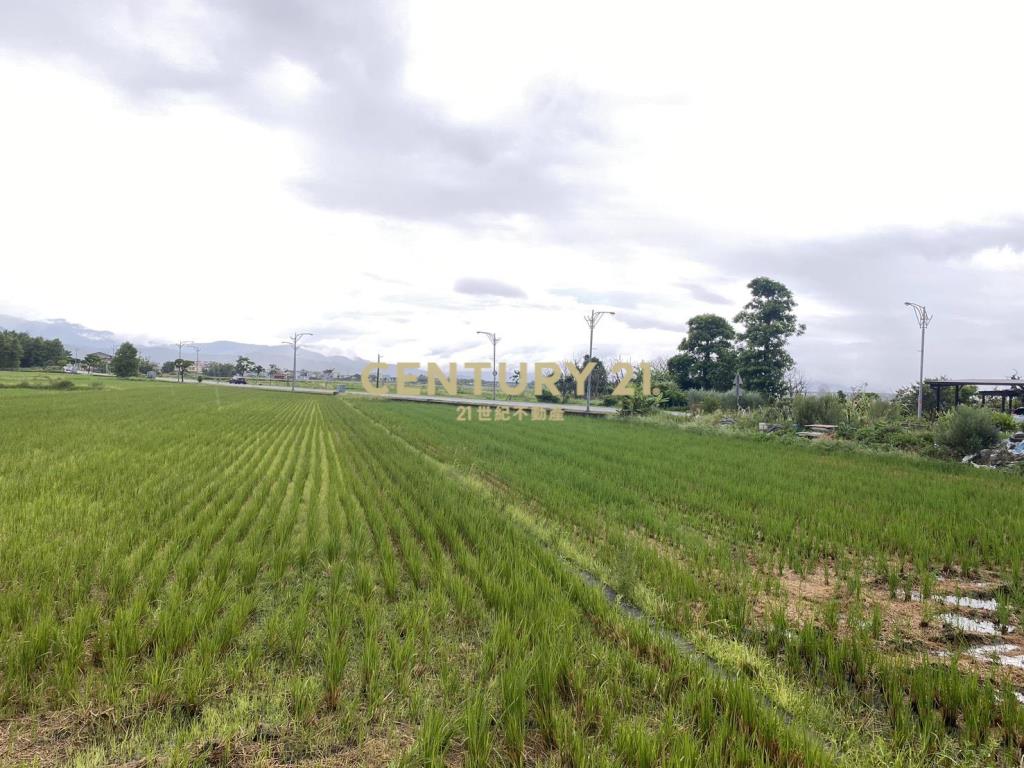 CD160蘇澳買地送屋超值建地