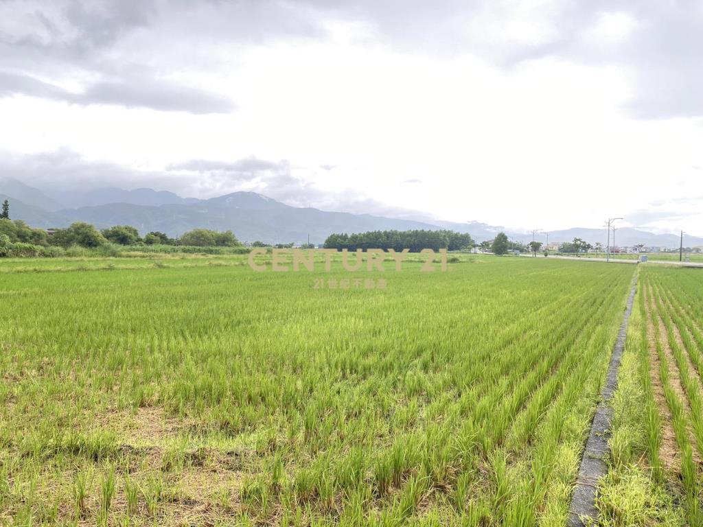 CD160蘇澳買地送屋超值建地