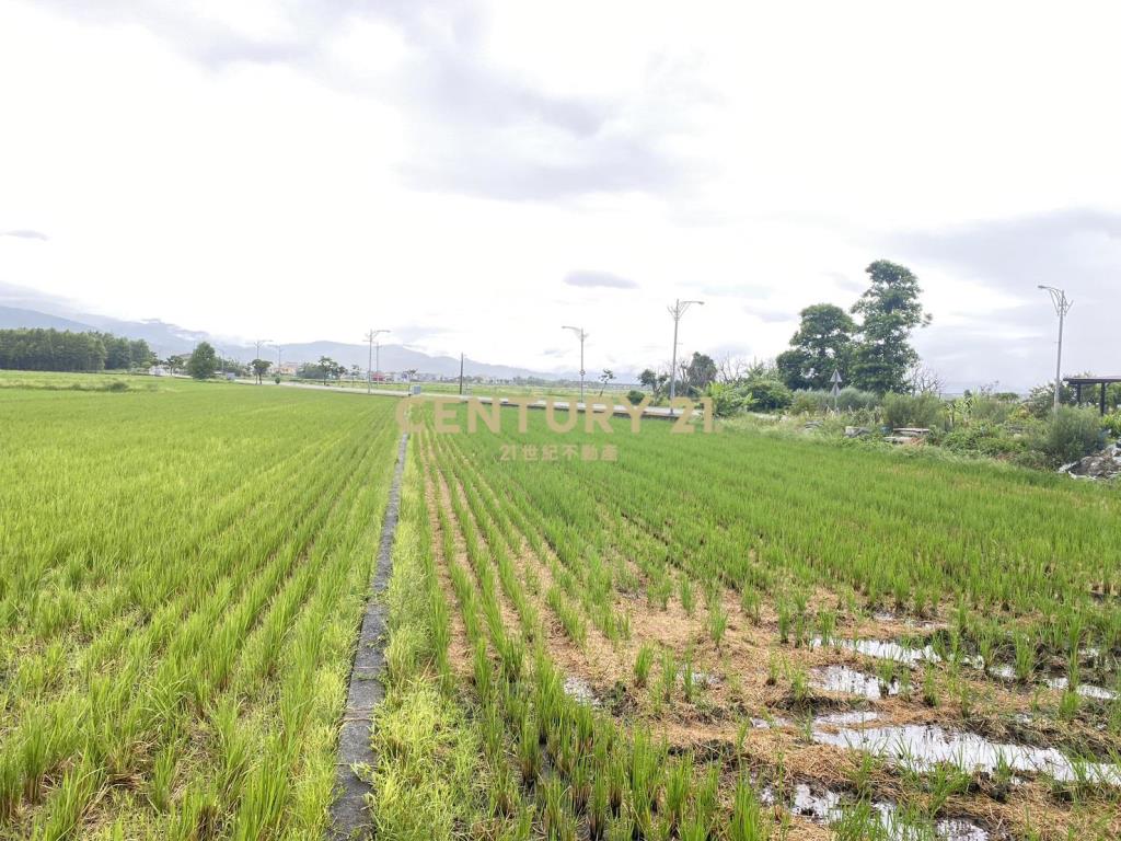 CD160蘇澳買地送屋超值建地