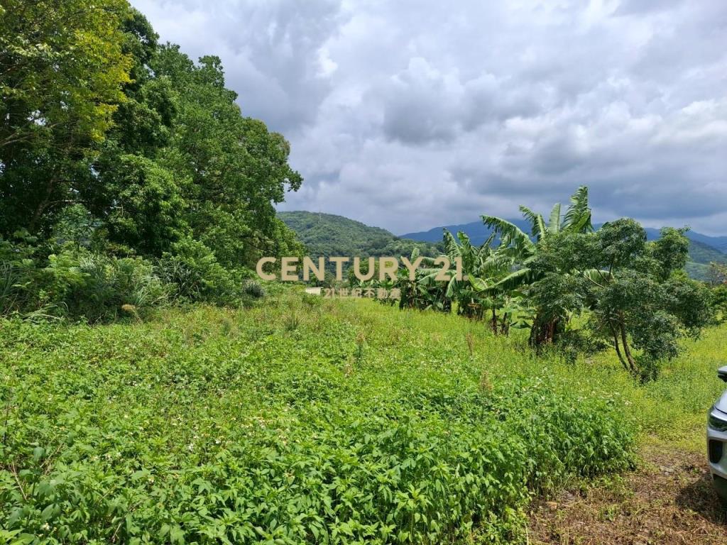 CC565礁溪山景多元農地