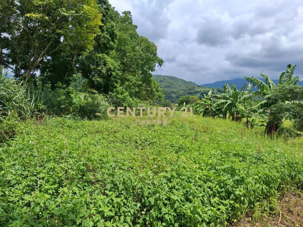 CC565礁溪山景多元農地