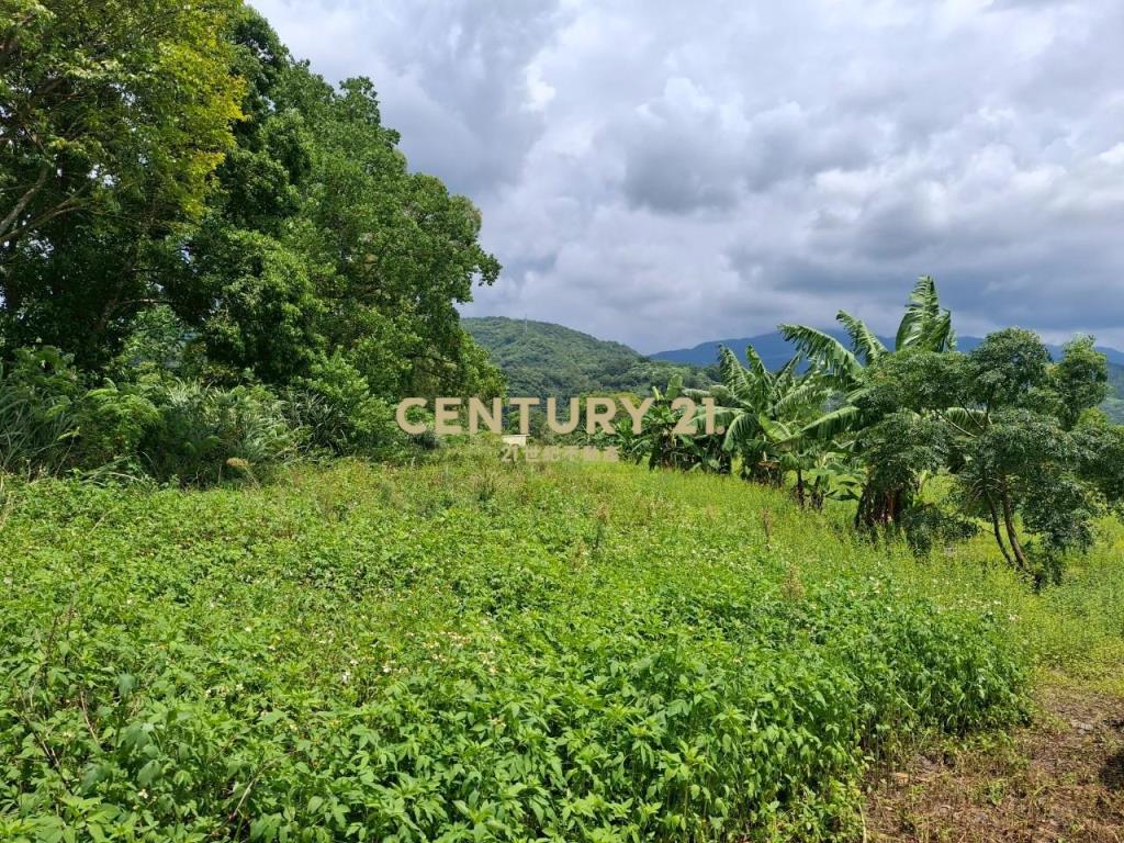 CC565礁溪山景多元農地