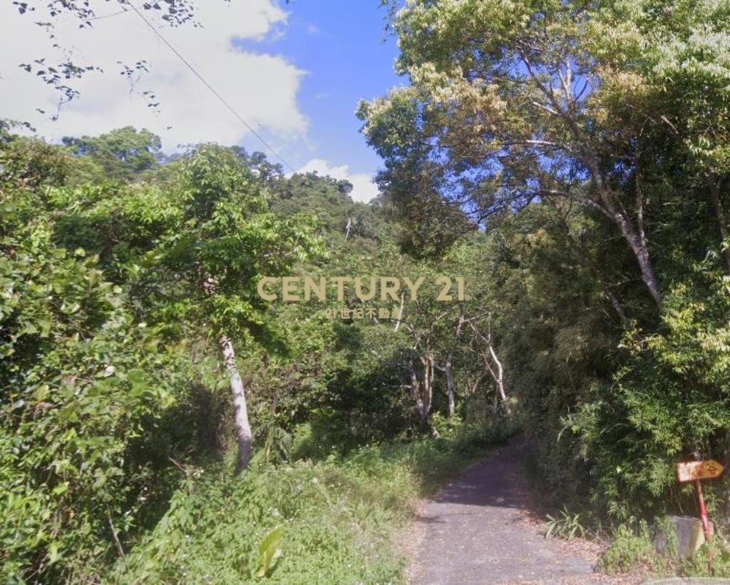 CC568三星清幽美景山坡地(有水有電)