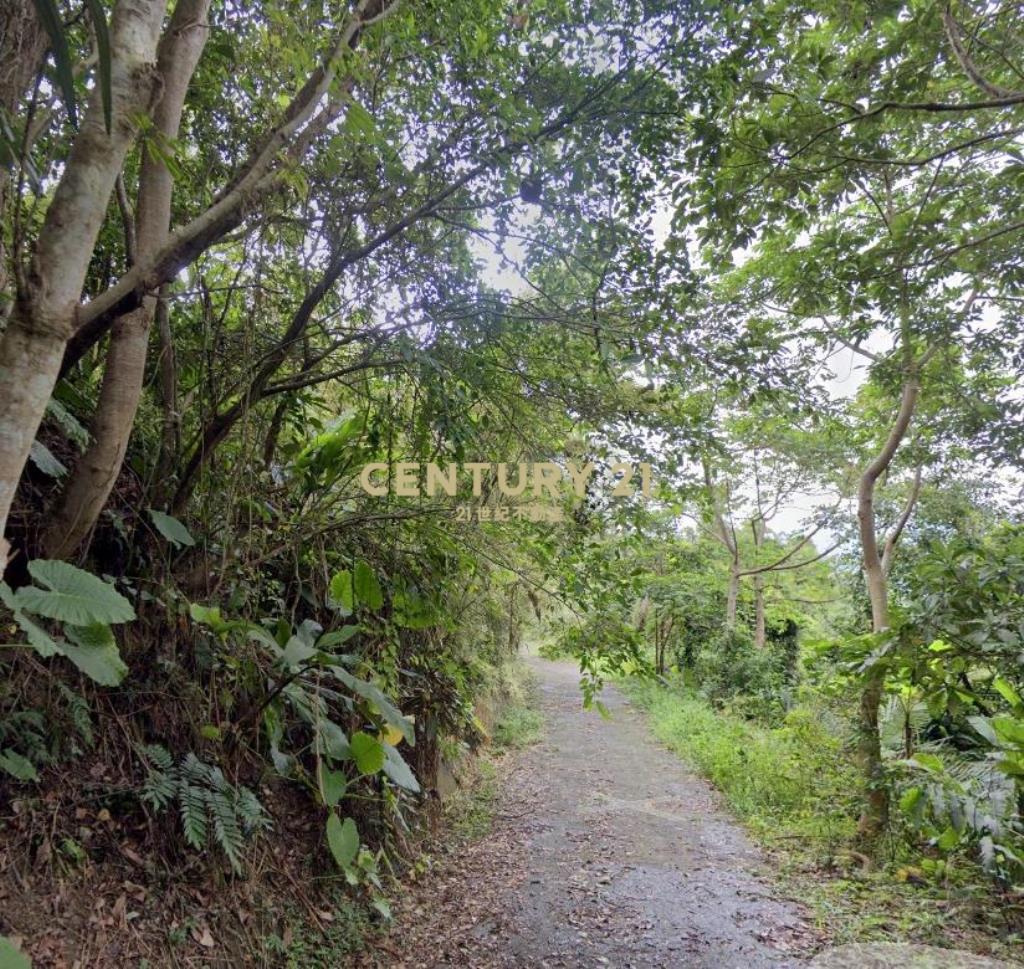 CC568三星清幽美景山坡地(有水有電)