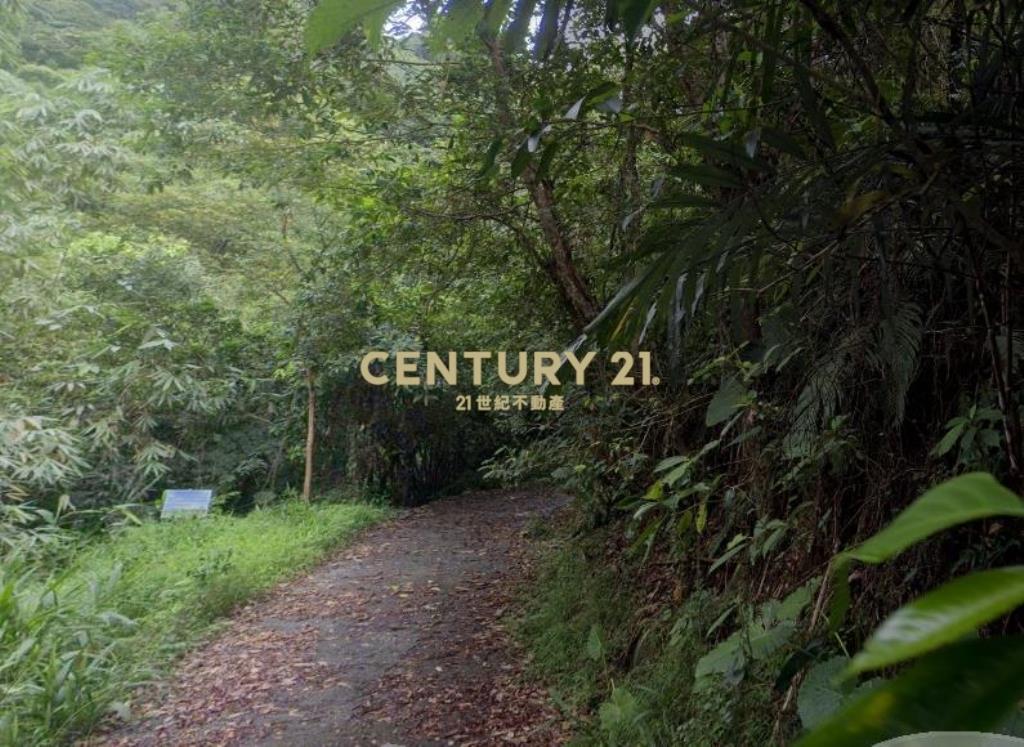 CC568三星清幽美景山坡地(有水有電)