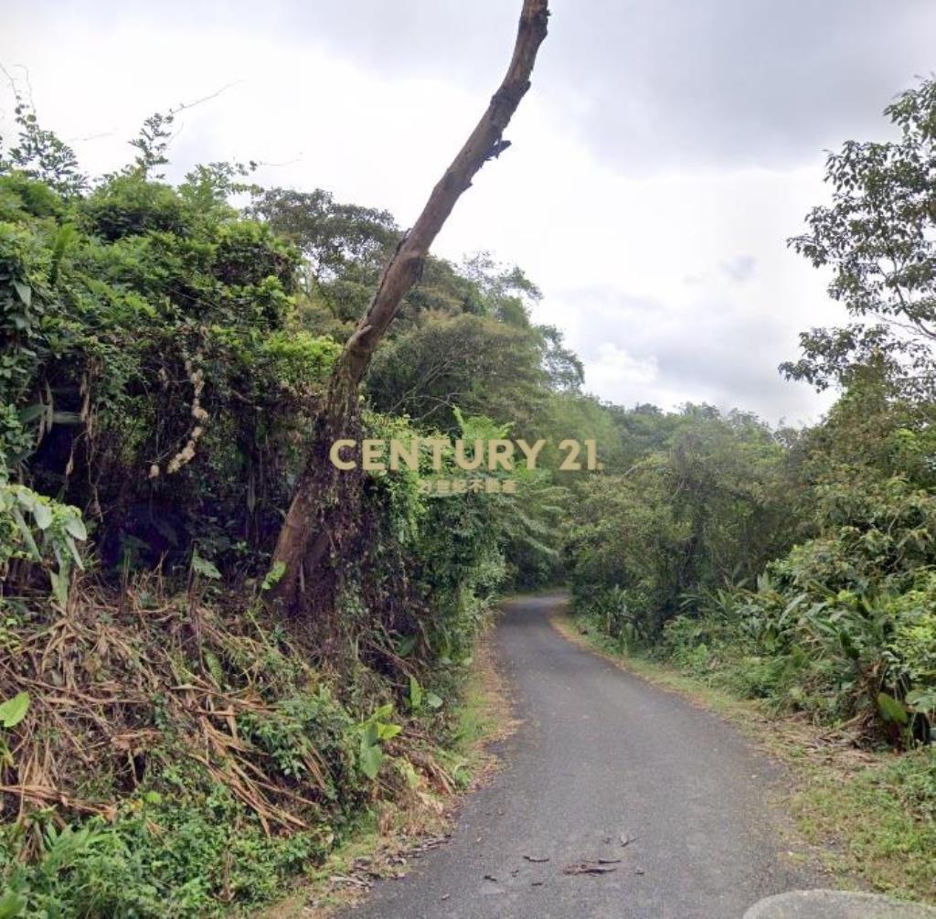 CC568三星清幽美景山坡地(有水有電)