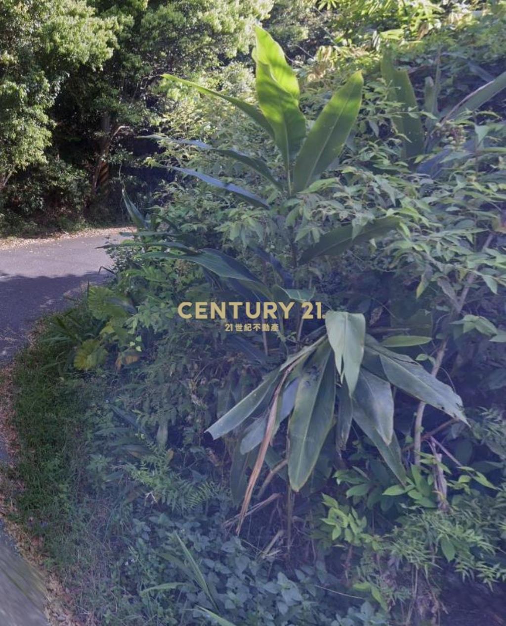 CC568三星清幽美景山坡地(有水有電)