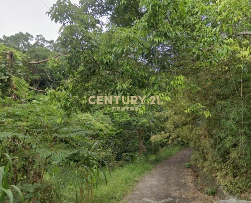 CC568三星清幽美景山坡地(有水有電)