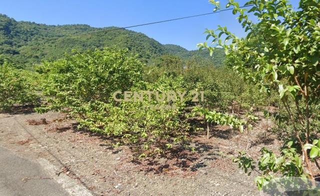 CC569冬山淋漓坑1566仰望星空農地