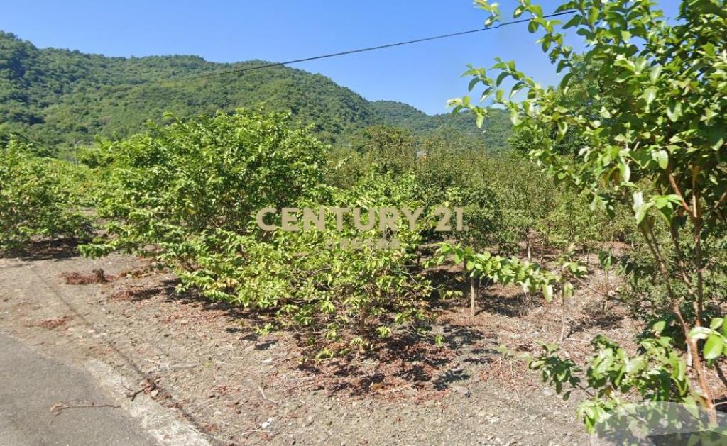 CC569冬山淋漓坑1566仰望星空農地