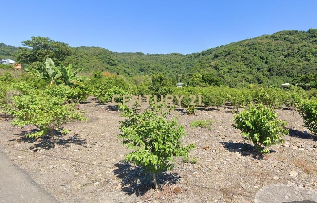 CC569冬山淋漓坑1566仰望星空農地