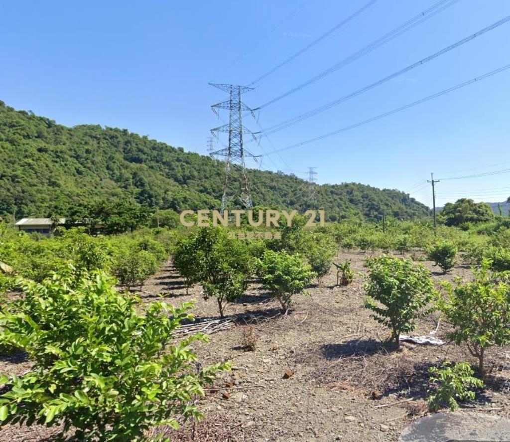 CC569冬山淋漓坑1566仰望星空農地