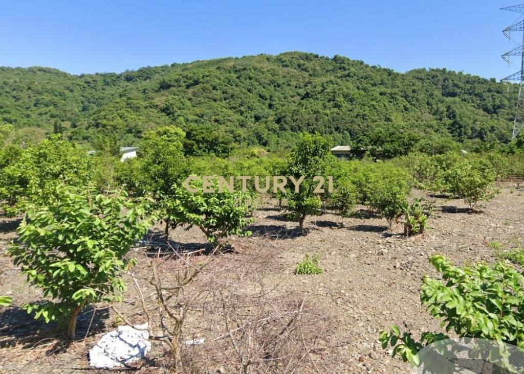 CC569冬山淋漓坑1566仰望星空農地