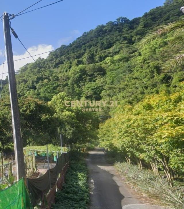 CC570冬山淋漓坑417美景農地