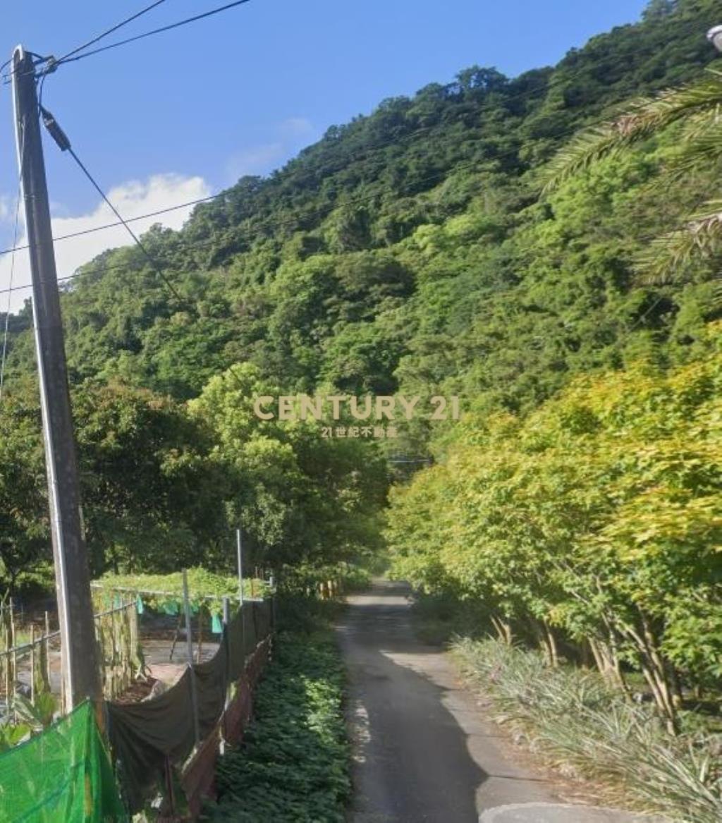 CC570冬山淋漓坑417美景農地