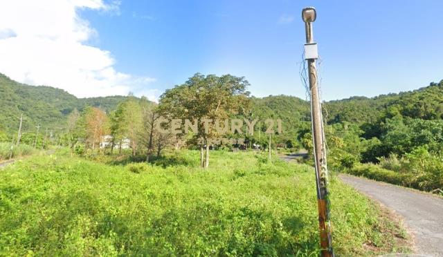 CC571冬山淋漓坑小坪數農地