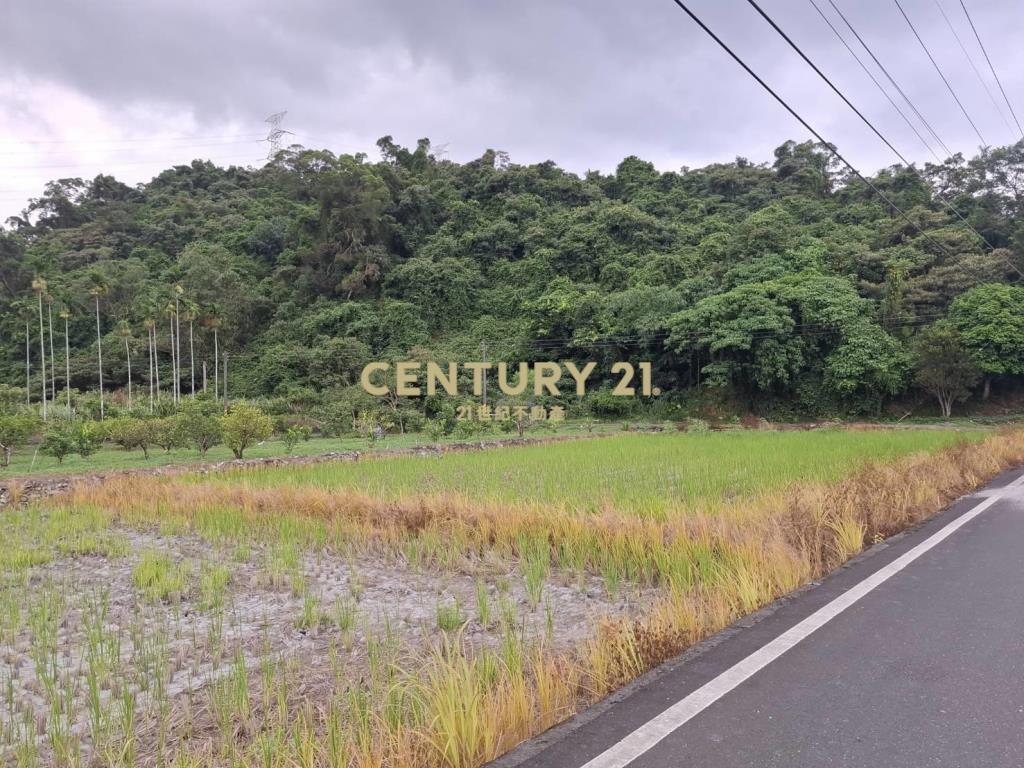 CC574礁溪持分山坡地