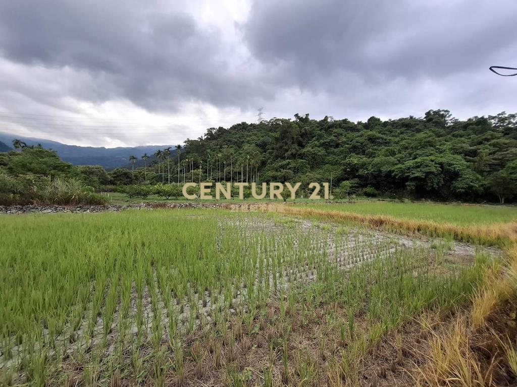 CC574礁溪持分山坡地