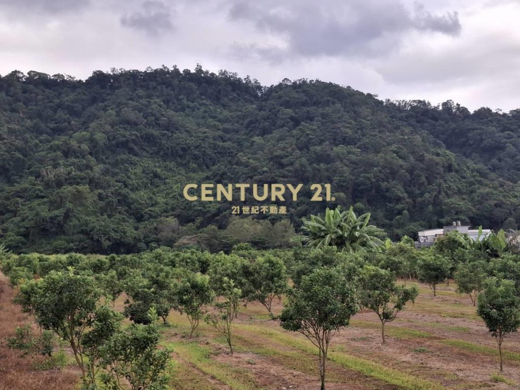 CC574礁溪持分山坡地