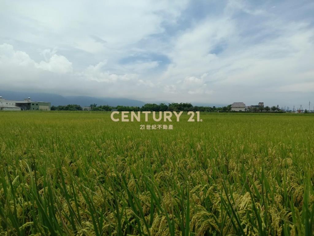 CC576壯圍足坪優質美農地