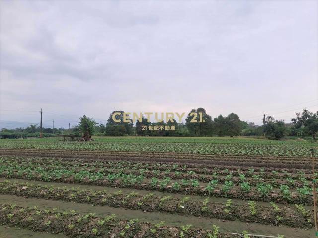 CC580員山33米寬農地